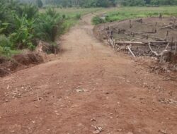 Pembukaan Ruas Jalan Lingkar Usaha Tani di Desa Tanjung Kupang Baru Perlu di Pertanyakan